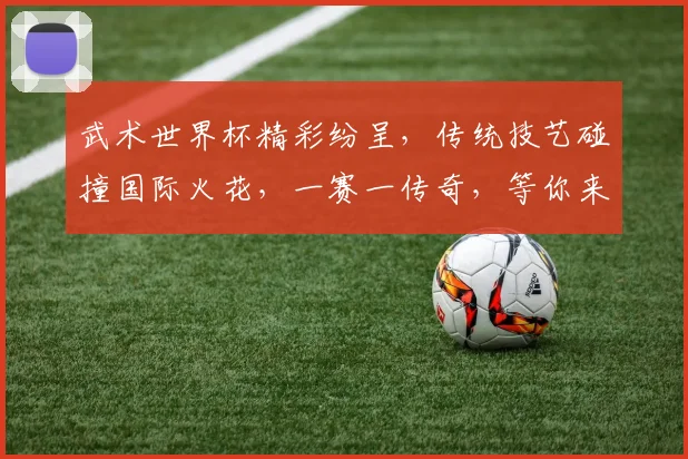 武术世界杯精彩纷呈，传统技艺碰撞国际火花，一赛一传奇，等你来见证